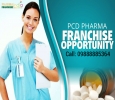 Pharma Franchise Company in Punjab